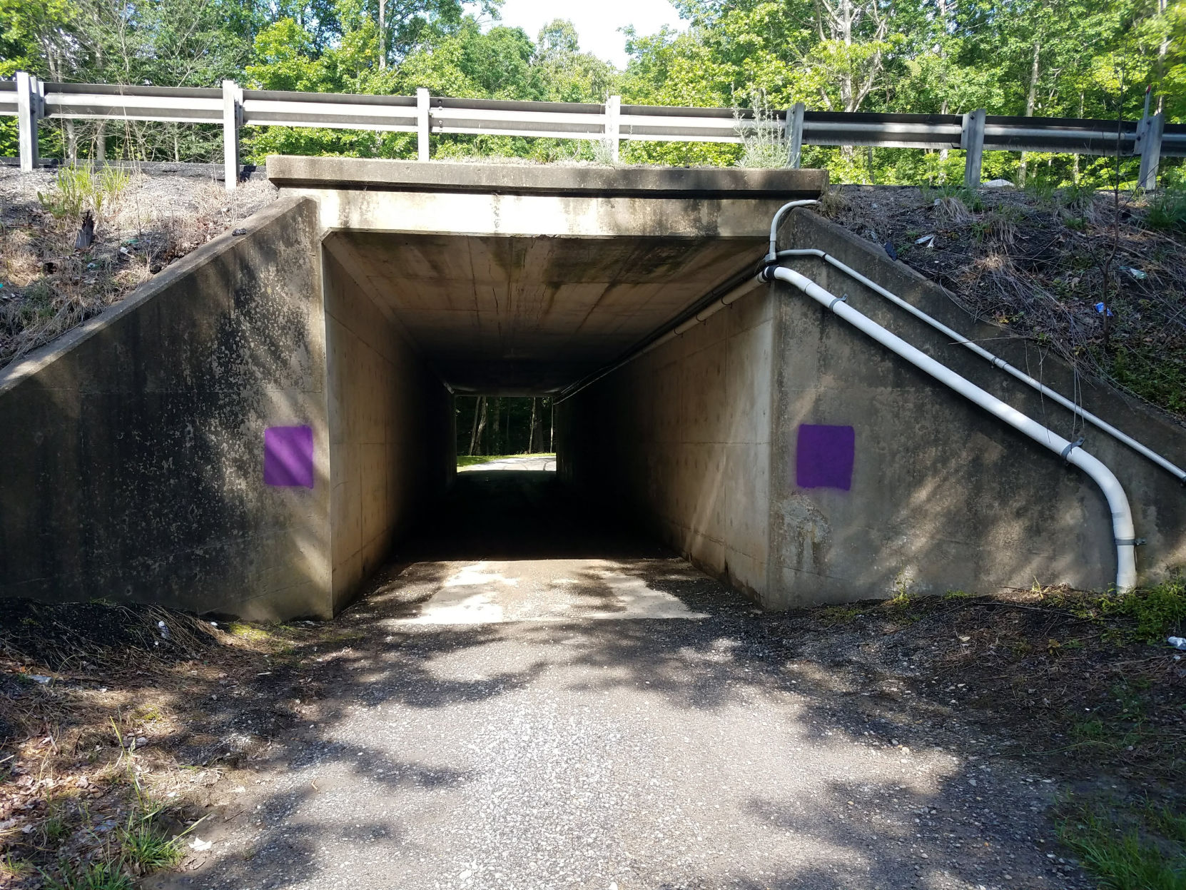 Wilkins Creek box culvert.jpg